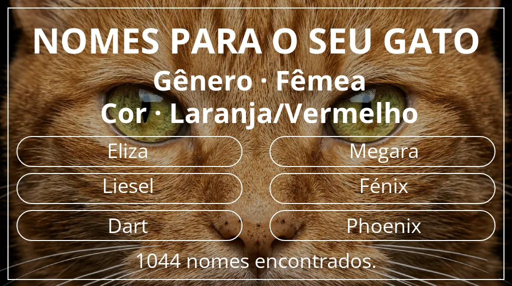 Nomes para gatos relacionados com gênero fêmea e cor laranja/vermelho