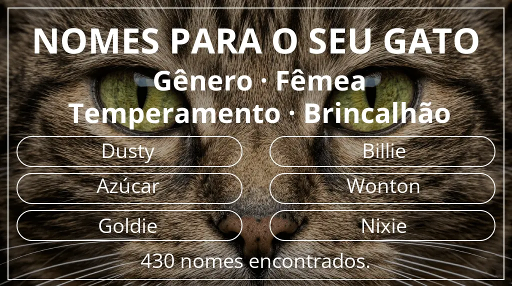 Nomes para gatos baseados em gênero fêmea e temperamento brincalhão