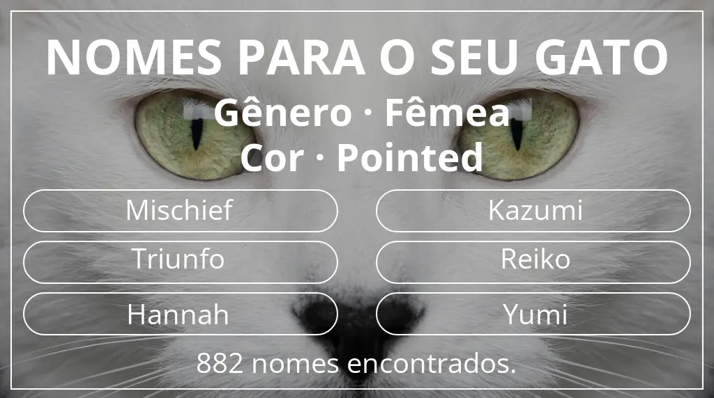 Nomes para gatos baseados em gênero fêmea e cor pointed