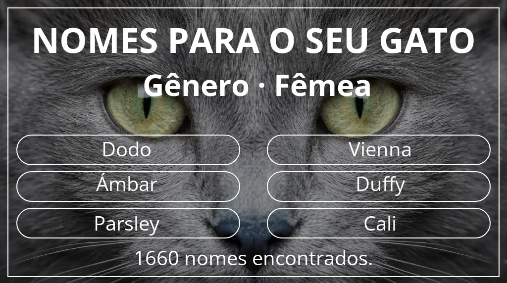 Nomes de gatos baseados em gênero fêmea
