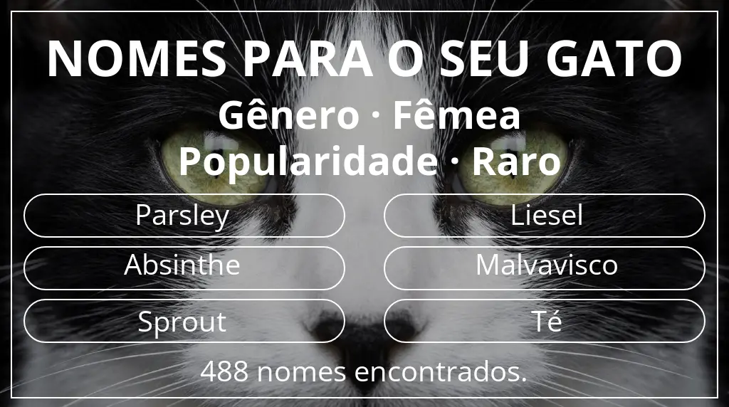 Nomes de gatos com inspiração em gênero fêmea e popularidade raro