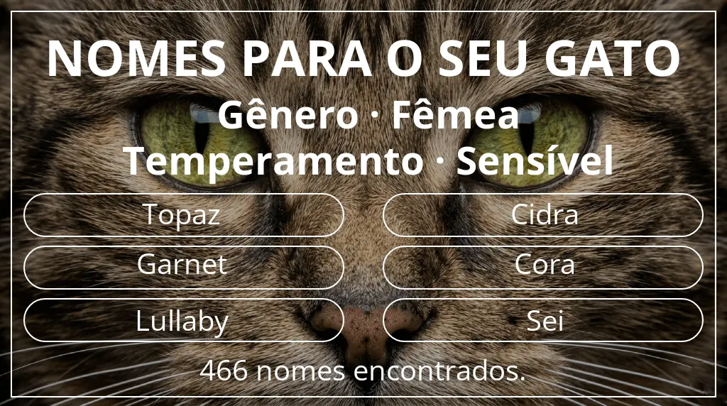 Nomes felinos baseados em gênero fêmea e temperamento sensível