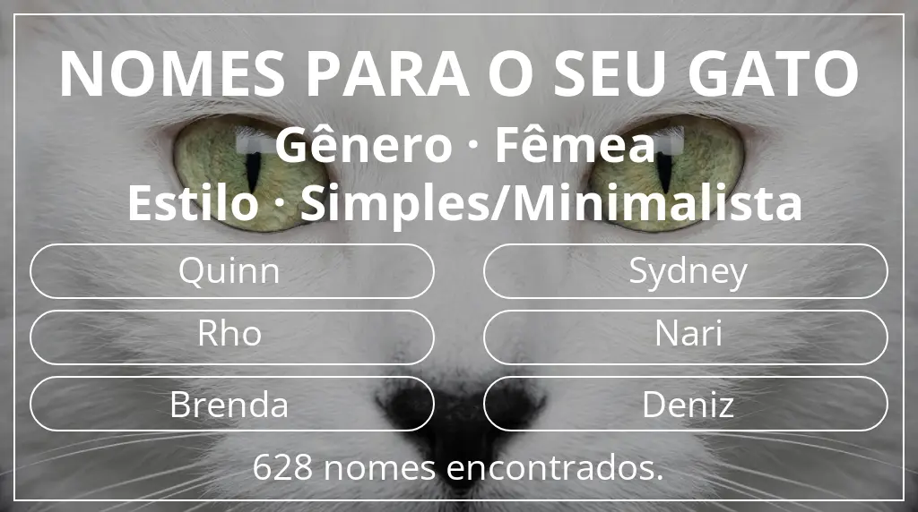 Nomes de gatos com inspiração em gênero fêmea e estilo simples/minimalista