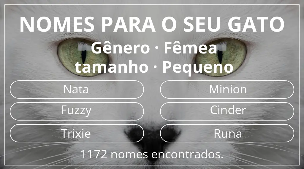 Nomes de gatos com inspiração em gênero fêmea e tamanho pequeno