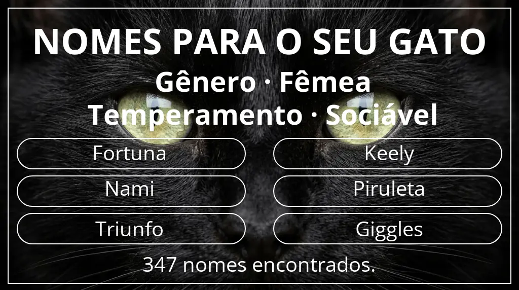 Nomes para gatos baseados em gênero fêmea e temperamento sociável