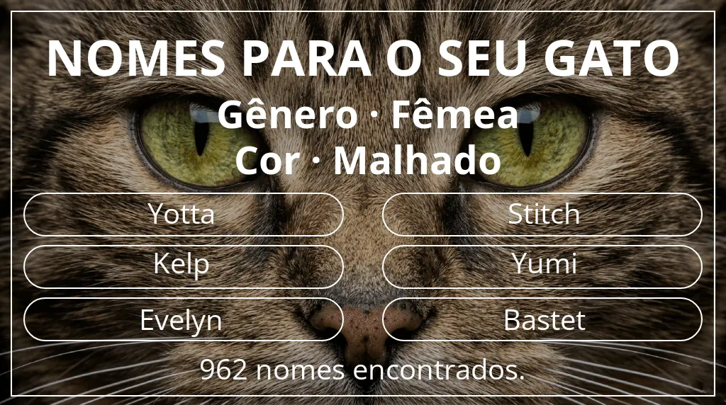 Nomes para gatos baseados em gênero fêmea e cor malhado
