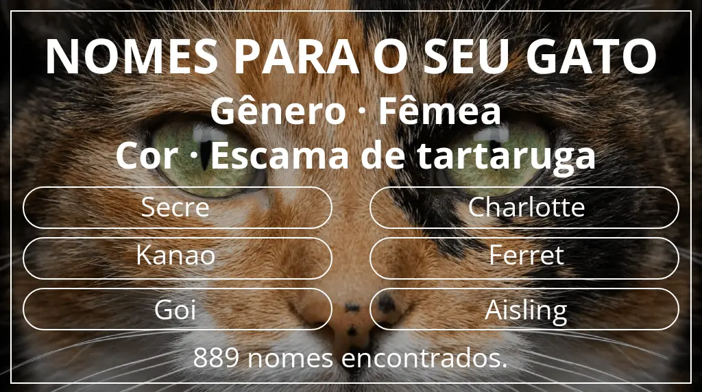 Nomes felinos com inspiração em gênero fêmea e cor escama de tartaruga