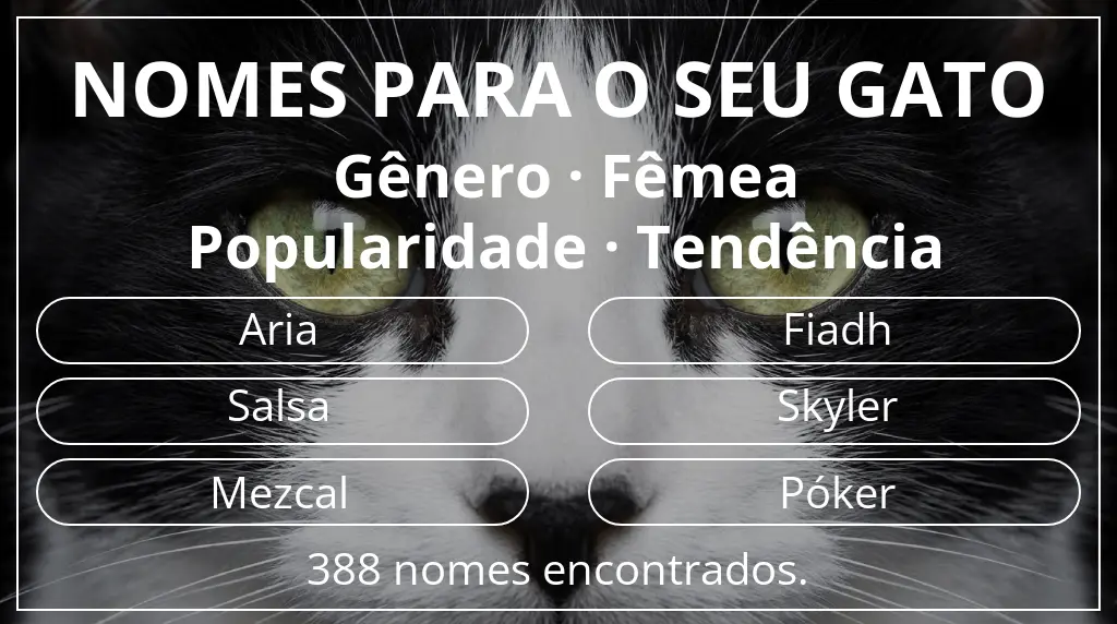 Nomes para gatos relacionados com gênero fêmea e popularidade tendência