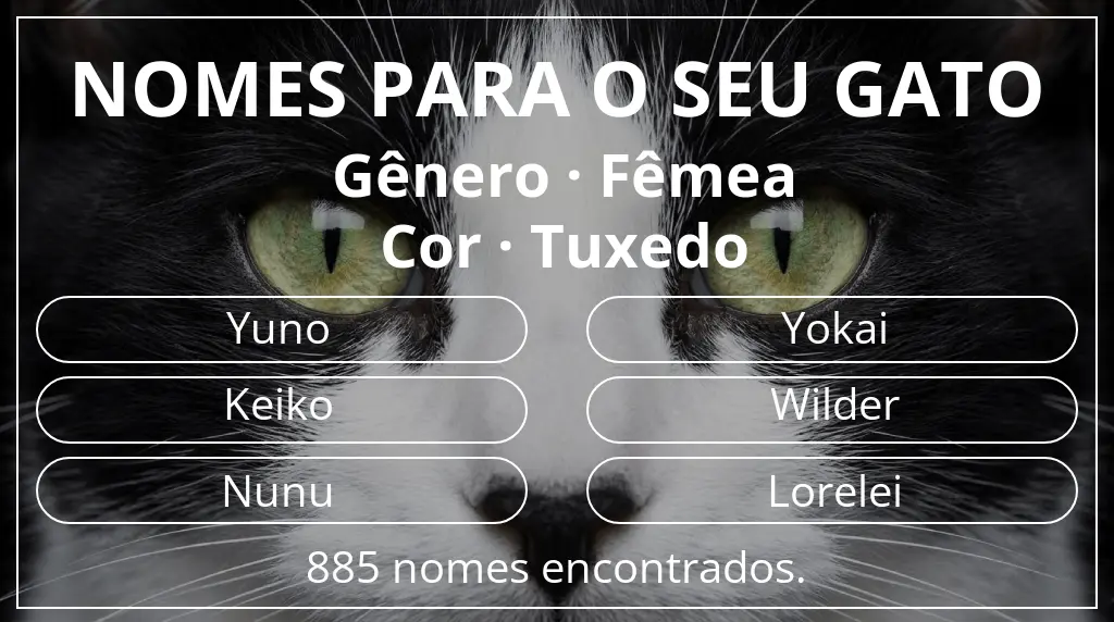 Nomes de gatos baseados em gênero fêmea e cor tuxedo