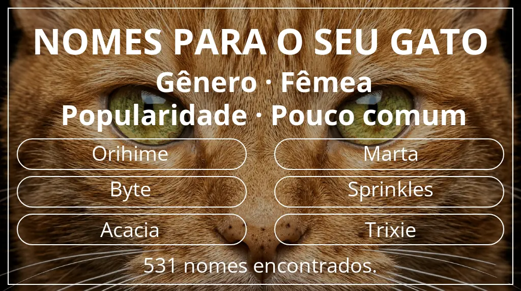 Nomes para gatos com inspiração em gênero fêmea e popularidade pouco comum