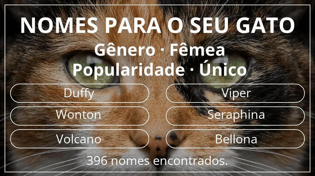 Nomes para gatos baseados em gênero fêmea e popularidade único