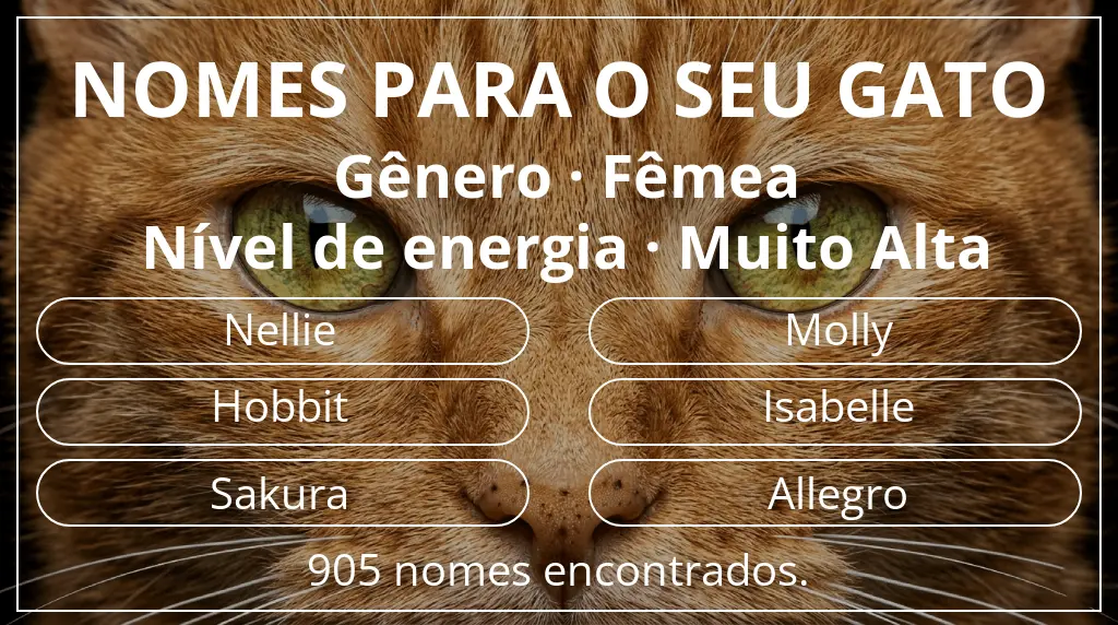 Nomes de gatos com inspiração em gênero fêmea e nível de energia muito alta