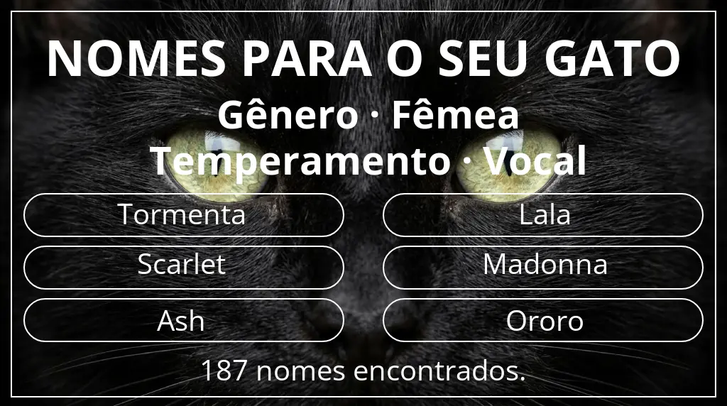 Nomes para gatos relacionados com gênero fêmea e temperamento vocal