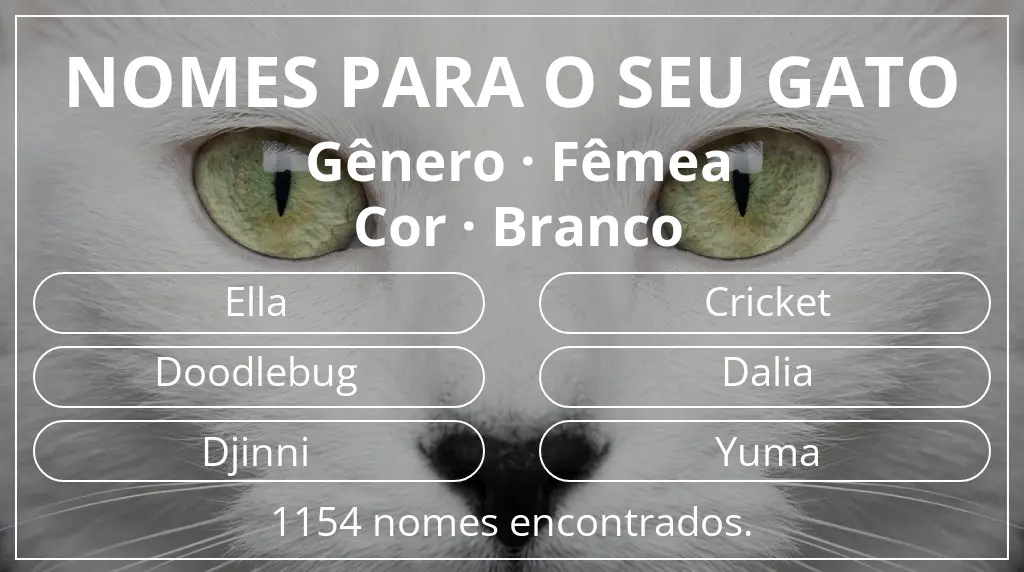 Nomes para gatos relacionados com gênero fêmea e cor branco