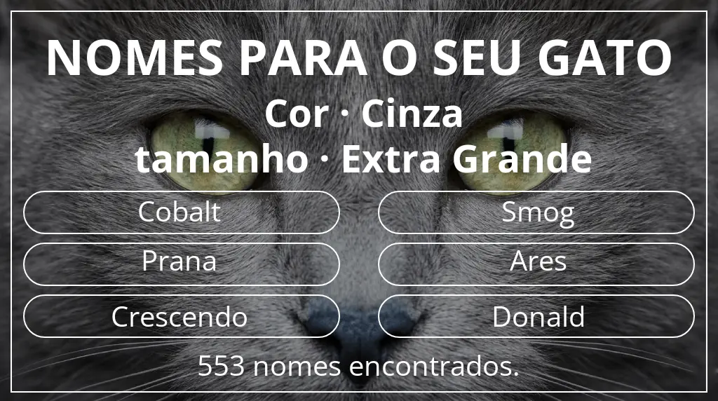 Nomes de gatos baseados em cor cinza e tamanho extra grande