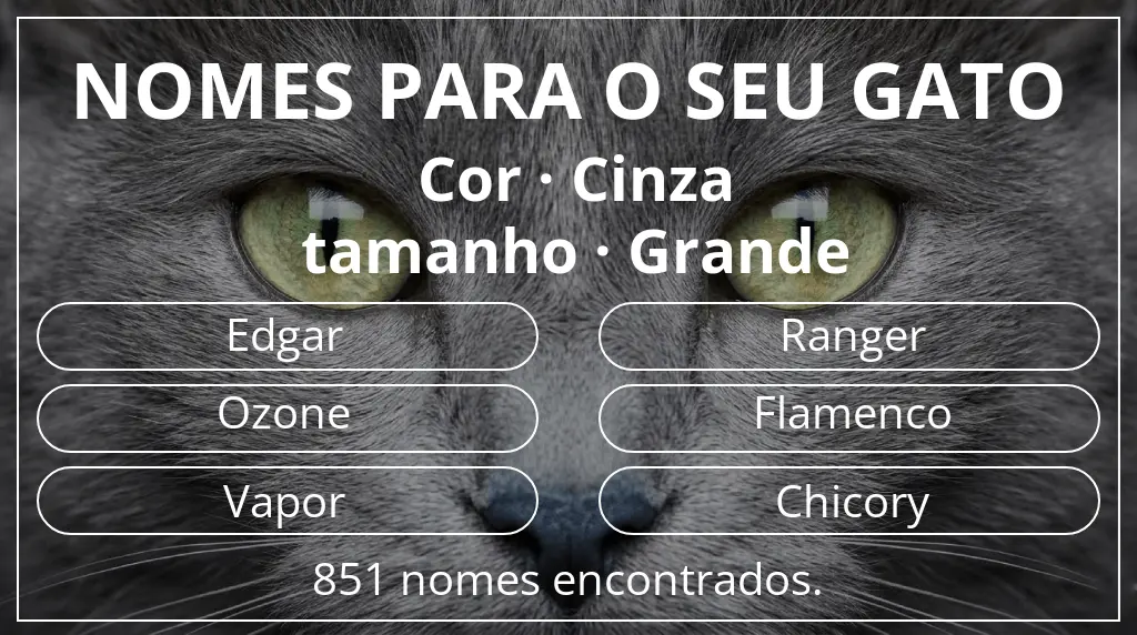 Nomes felinos relacionados com cor cinza e tamanho grande