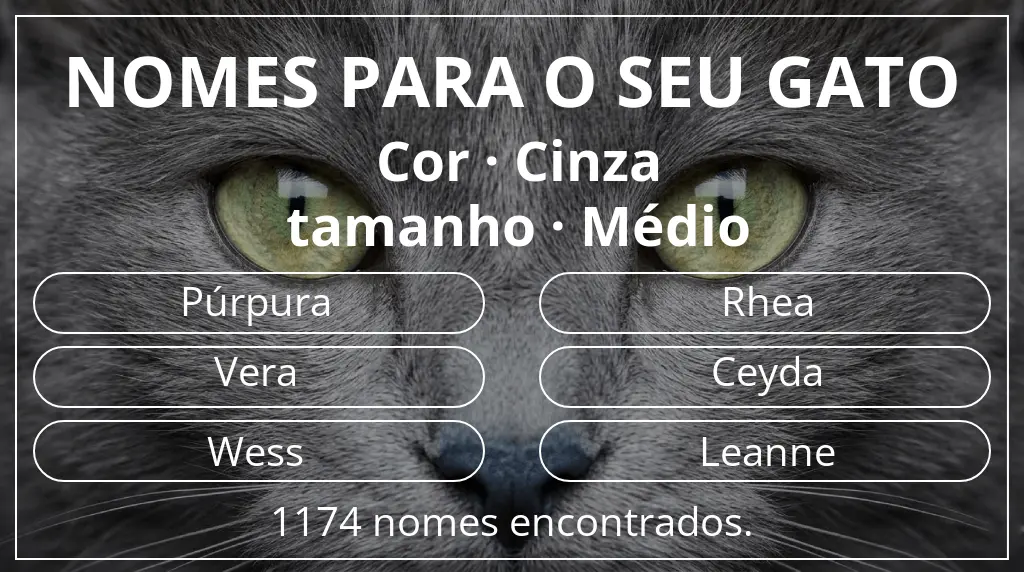Nomes felinos relacionados com cor cinza e tamanho médio