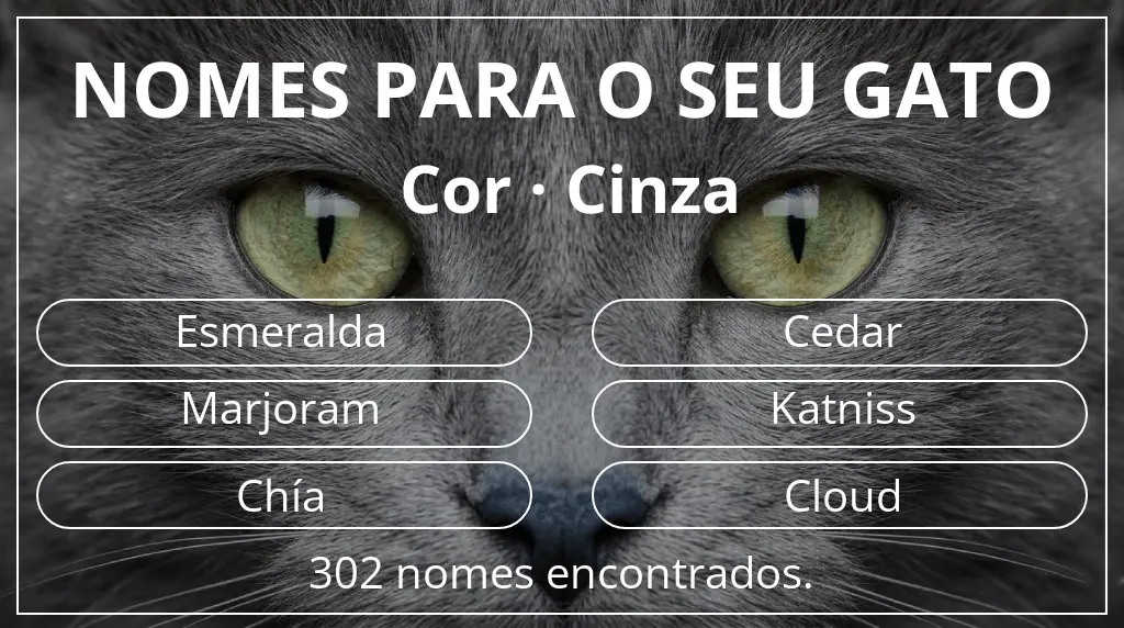 Nomes felinos relacionados com cor cinza