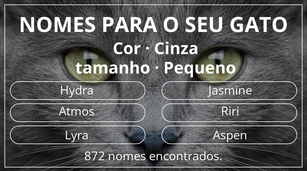 Nomes de gatos com inspiração em cor cinza e tamanho pequeno