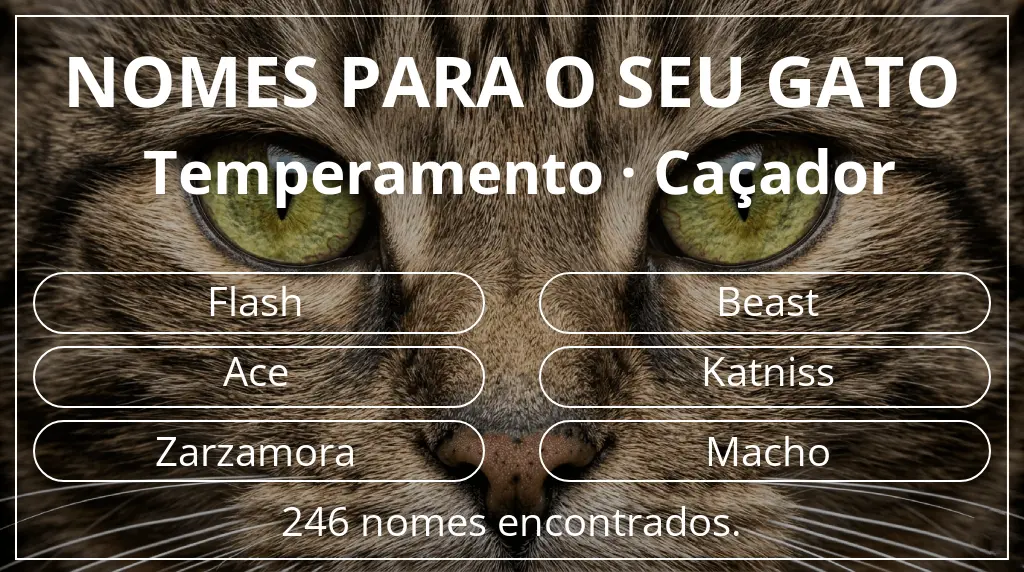 Nomes para gatos com inspiração em temperamento caçador