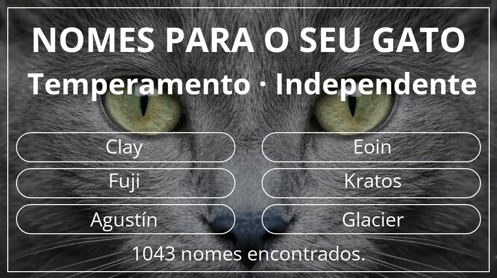 Nomes de gatos com inspiração em temperamento independente