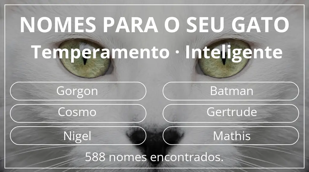 Nomes de gatos baseados em temperamento inteligente
