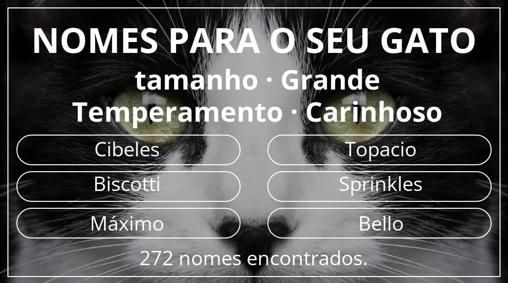 Nomes de gatos com inspiração em tamanho grande e temperamento carinhoso