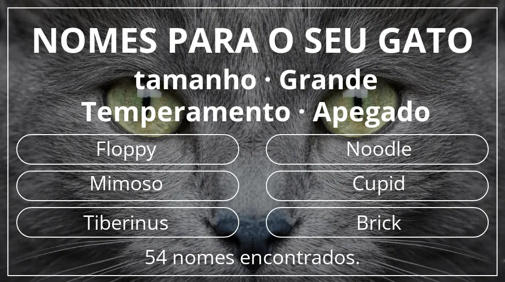 Nomes para gatos baseados em tamanho grande e temperamento apegado