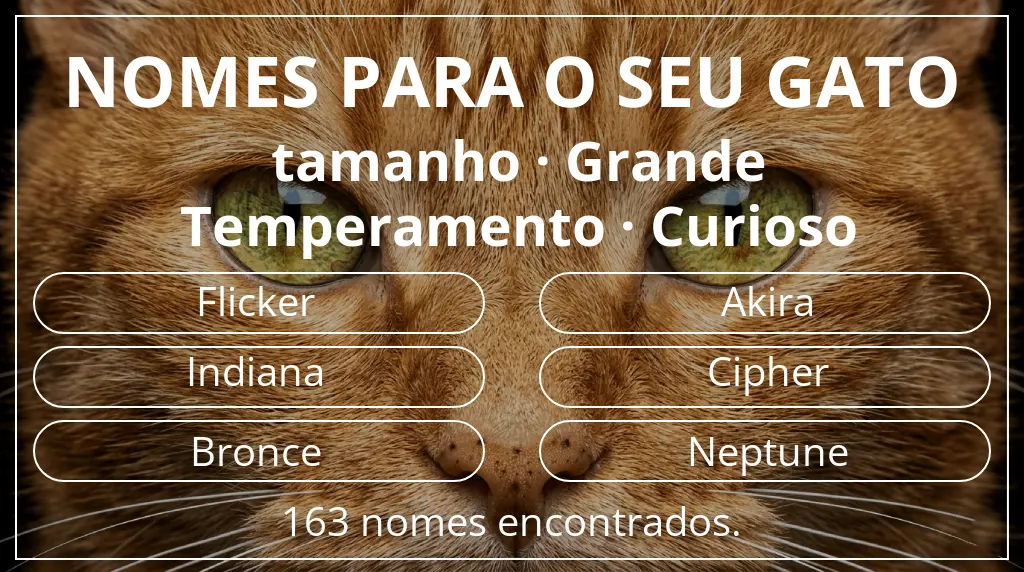 Nomes de gatos baseados em tamanho grande e temperamento curioso