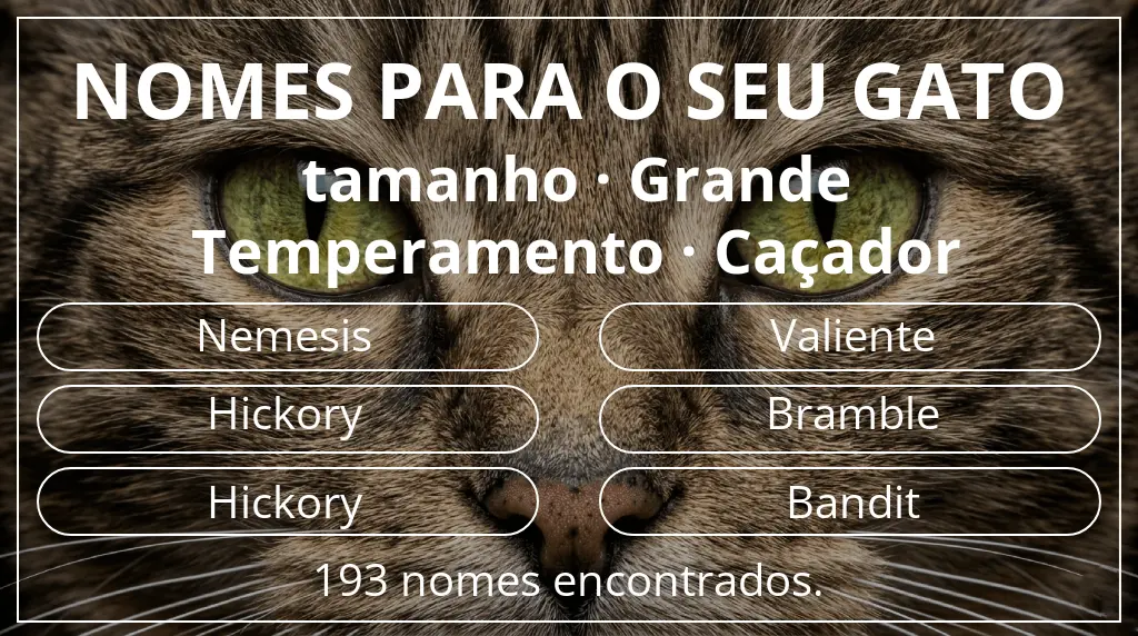 Nomes para gatos baseados em tamanho grande e temperamento caçador