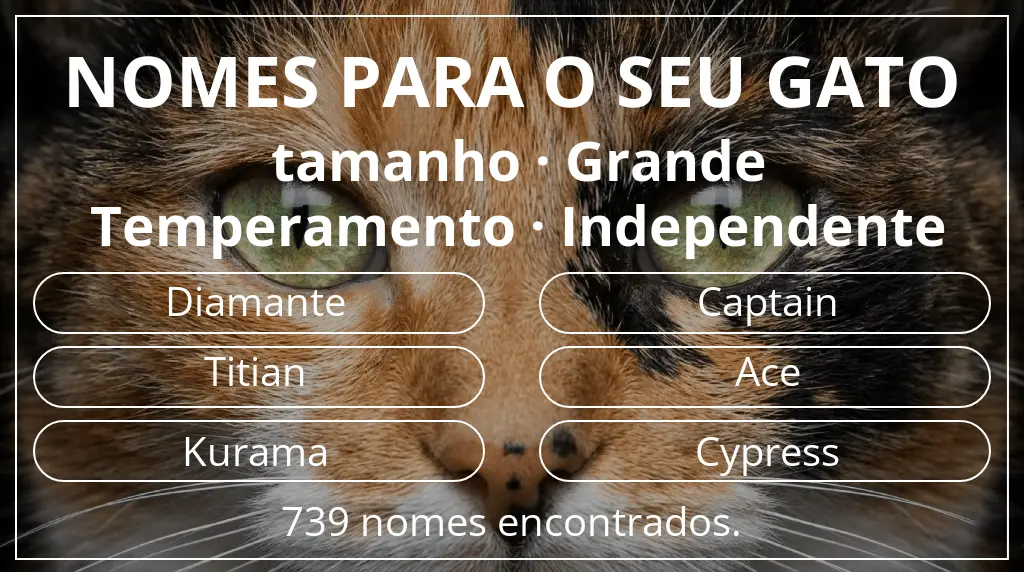 Nomes felinos com inspiração em tamanho grande e temperamento independente