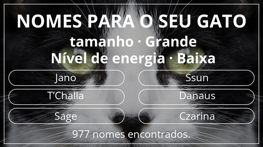 Nomes felinos relacionados com tamanho grande e nível de energia baixa