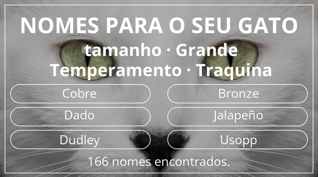 Nomes de gatos com inspiração em tamanho grande e temperamento traquina