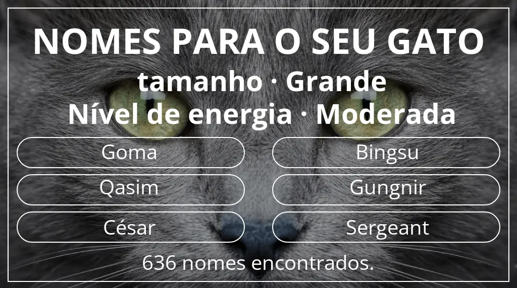 Nomes de gatos relacionados com tamanho grande e nível de energia moderada