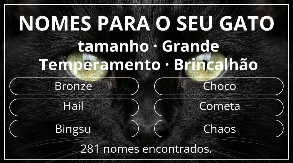 Nomes para gatos baseados em tamanho grande e temperamento brincalhão