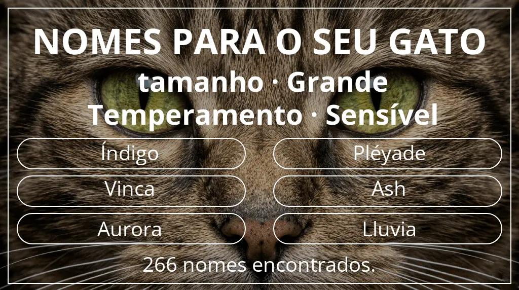 Nomes felinos relacionados com tamanho grande e temperamento sensível