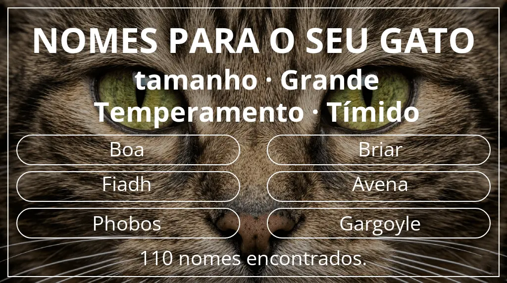 Nomes felinos com inspiração em tamanho grande e temperamento tímido