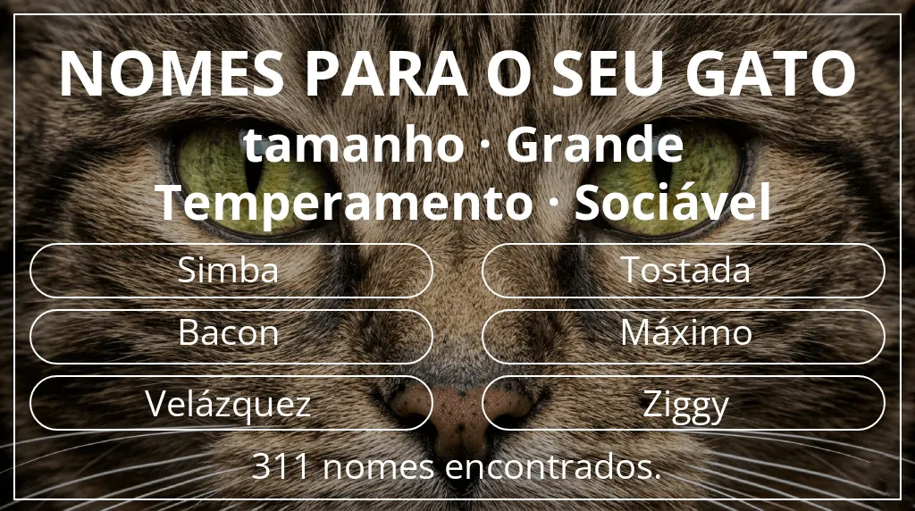 Nomes de gatos baseados em tamanho grande e temperamento sociável