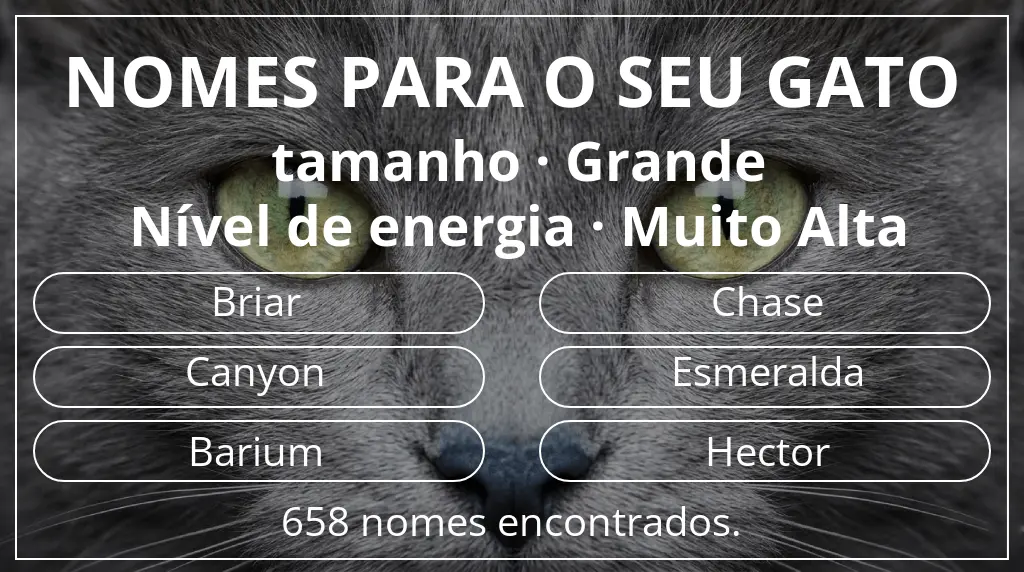 Nomes para gatos com inspiração em tamanho grande e nível de energia muito alta