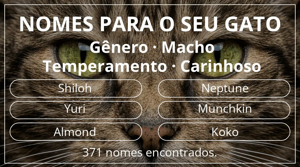 Nomes para gatos baseados em gênero macho e temperamento carinhoso