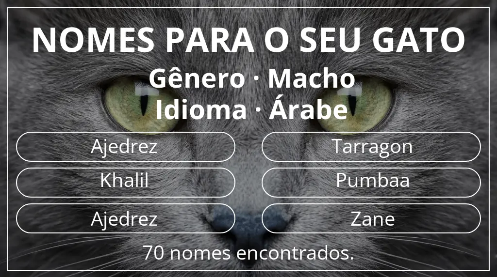 Nomes para gatos baseados em gênero macho e idioma árabe