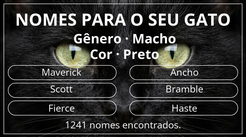 Nomes para gatos relacionados com gênero macho e cor preto