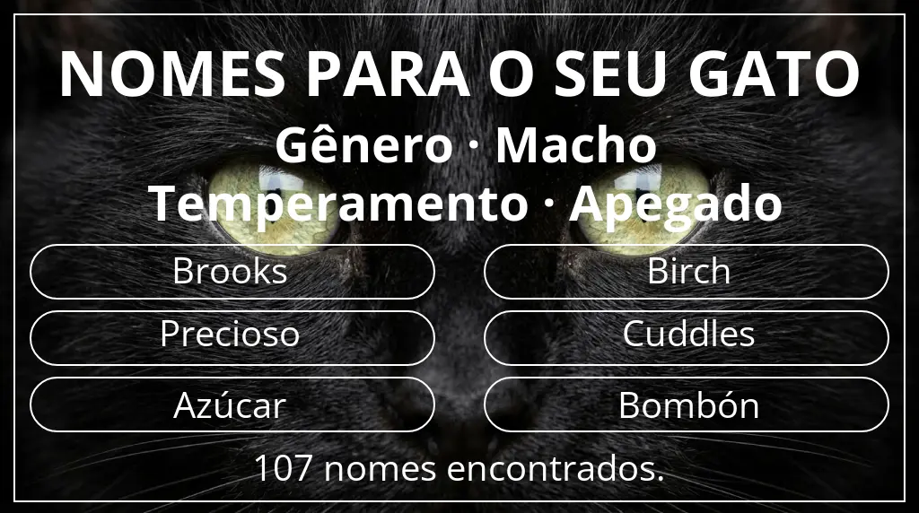 Nomes para gatos baseados em gênero macho e temperamento apegado