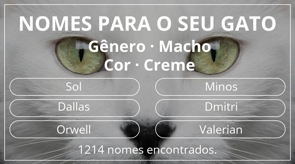 Nomes para gatos com inspiração em gênero macho e cor creme