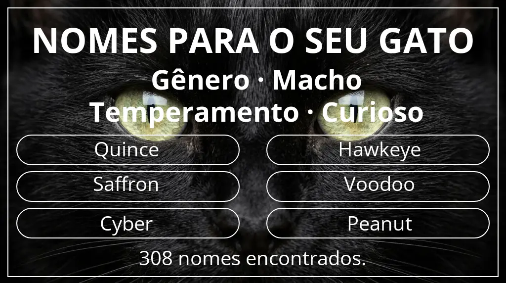 Nomes de gatos baseados em gênero macho e temperamento curioso