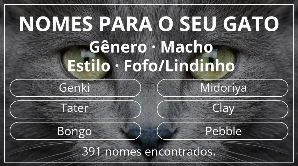 Nomes felinos com inspiração em gênero macho e estilo fofo/lindinho
