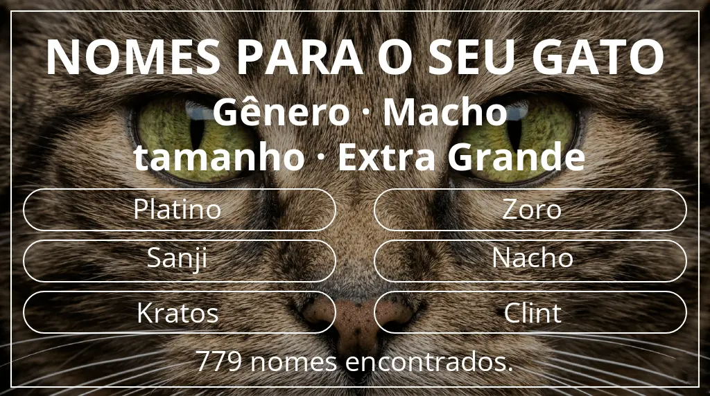 Nomes para gatos relacionados com gênero macho e tamanho extra grande