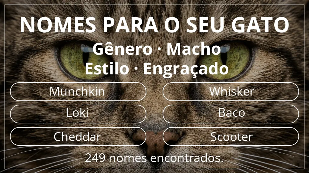 Nomes de gatos relacionados com gênero macho e estilo engraçado