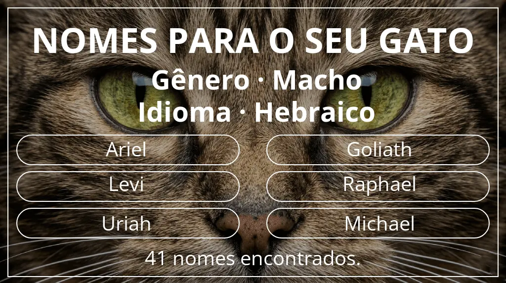 Nomes felinos com inspiração em gênero macho e idioma hebraico