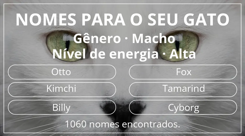 Nomes para gatos relacionados com gênero macho e nível de energia alta
